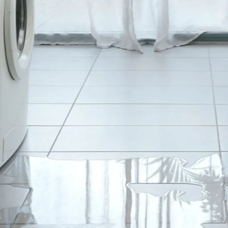 Appliance Leak Cleanup in Currituck County, NC