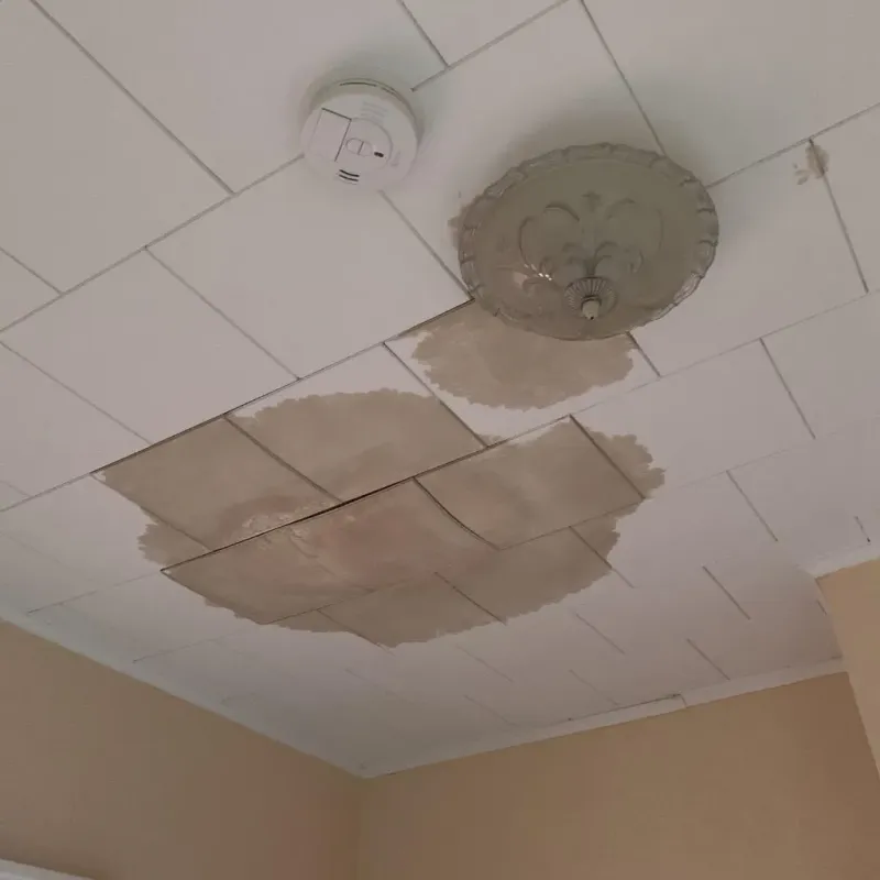 Ceiling Water Damage Repair in Currituck County, NC