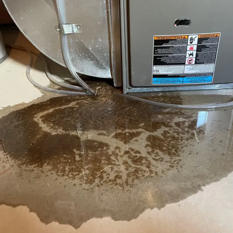 Pipe Burst and Leak Restoration in Currituck County, NC