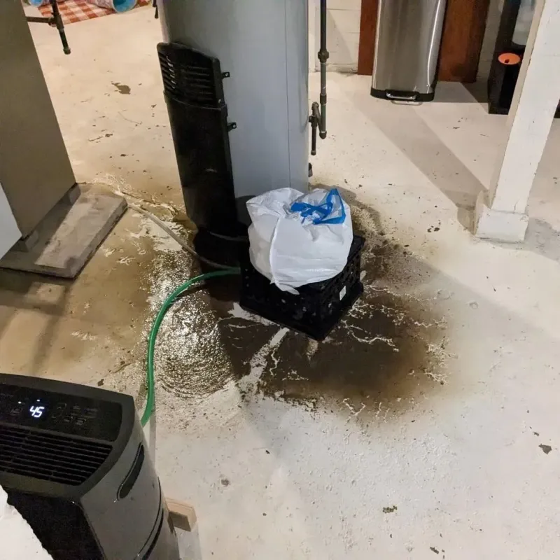Sewage Backup Cleanup Service in Currituck County, NC